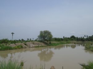 Buddhist ruins in the area