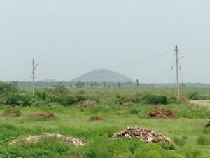 Buddhist ruins in the area